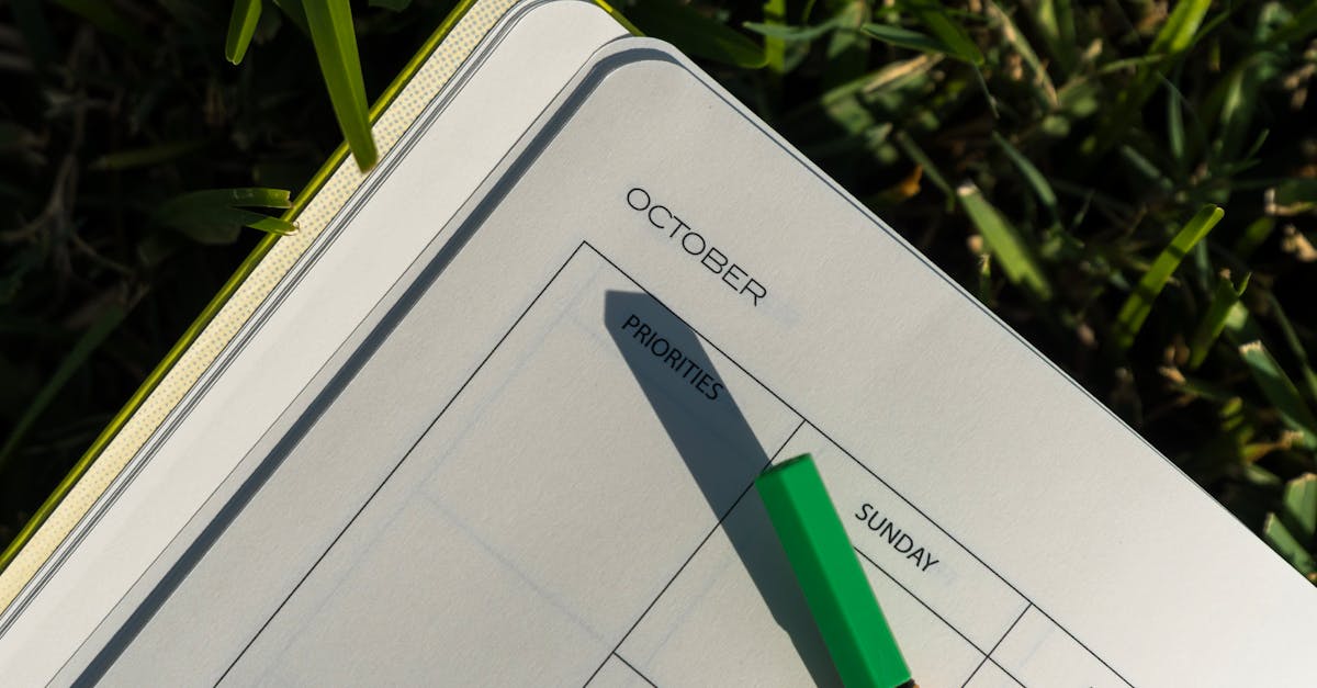 A planner and pen on grass with October page open, illuminated by sunlight.